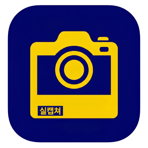 실캡쳐